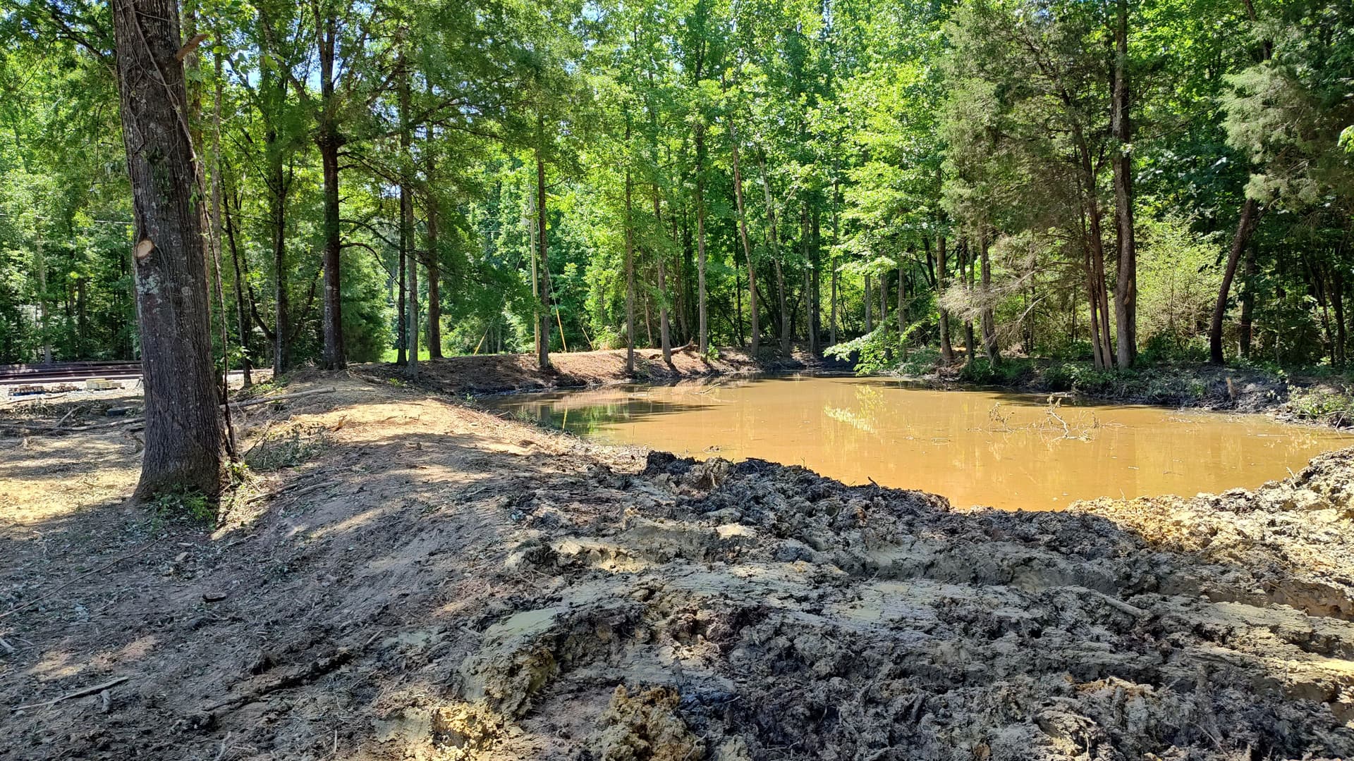 Gallery photos for Overgrown Pond Banks Cleared and Opened Back Up: Image #1