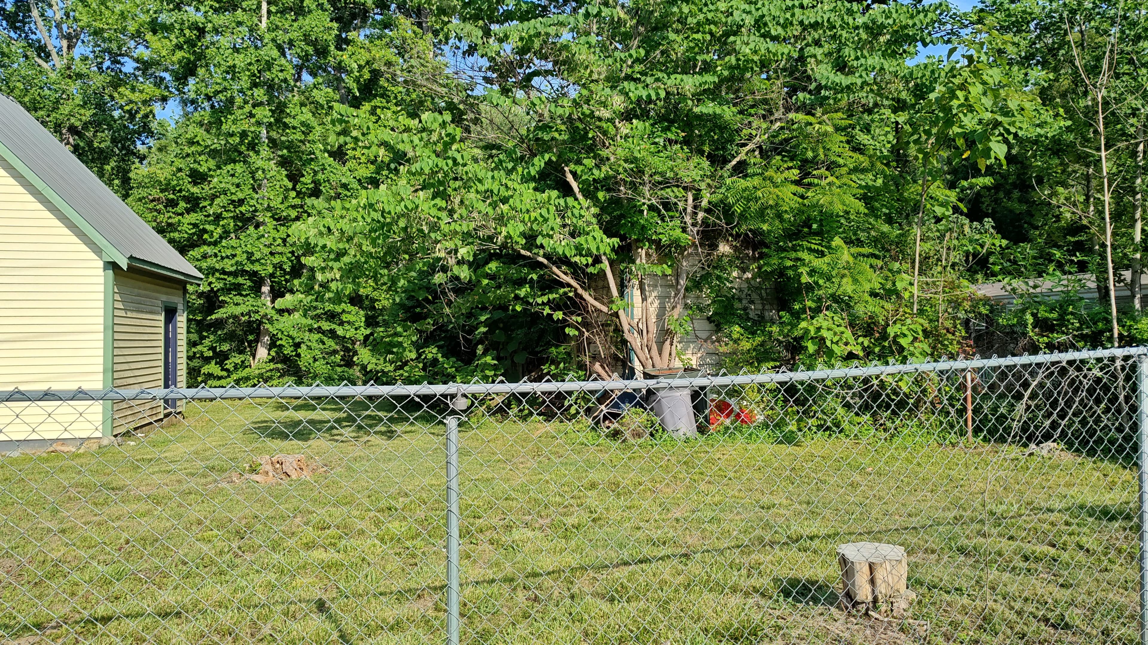 Project Demo Debris and Overgrowth Cleared to a Clean Slate in Lexington NC image