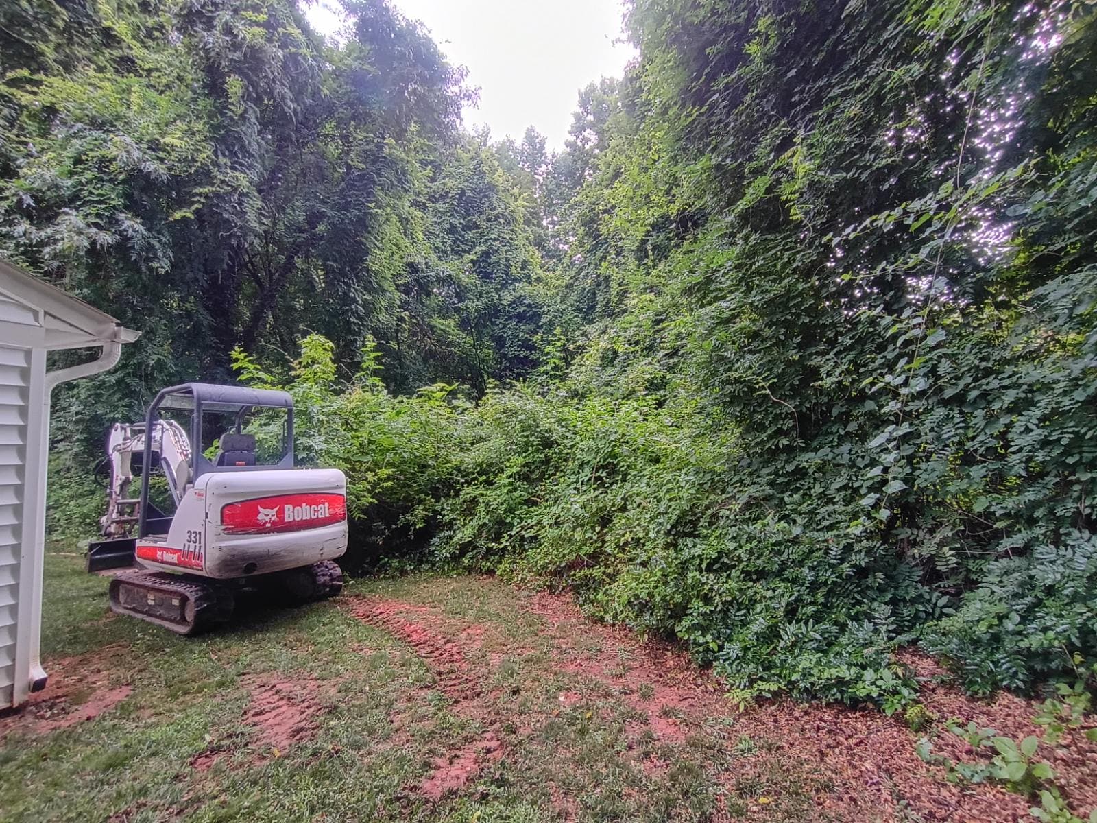 Backyard Clearing Makes Space for Relaxation image