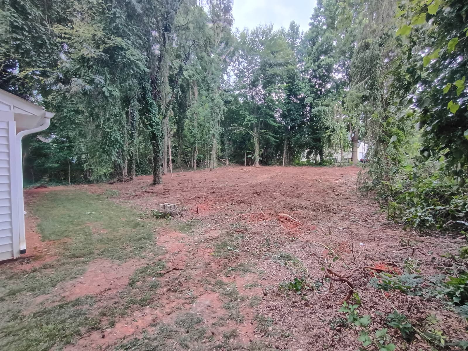 Gallery photos for Backyard Clearing Makes Space for Relaxation: Image #1