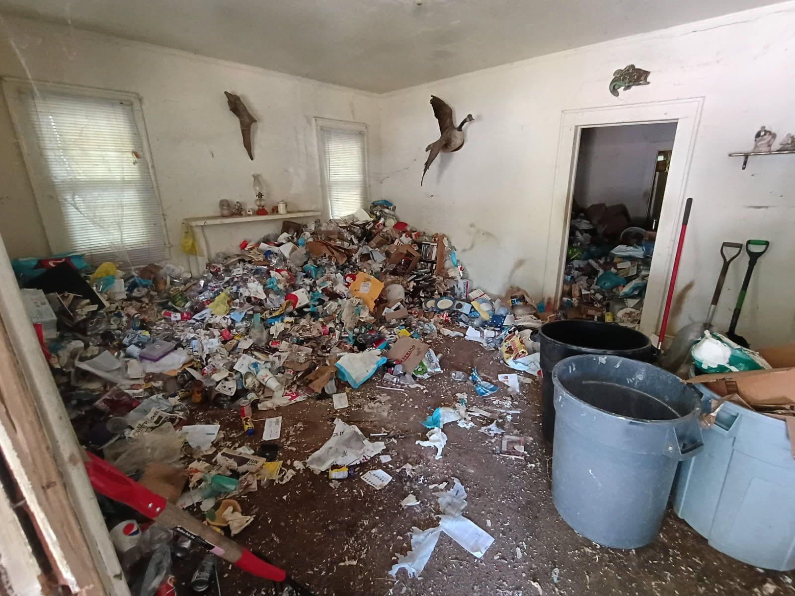 Project Expert Foreclosure Cleanouts for Renewal image