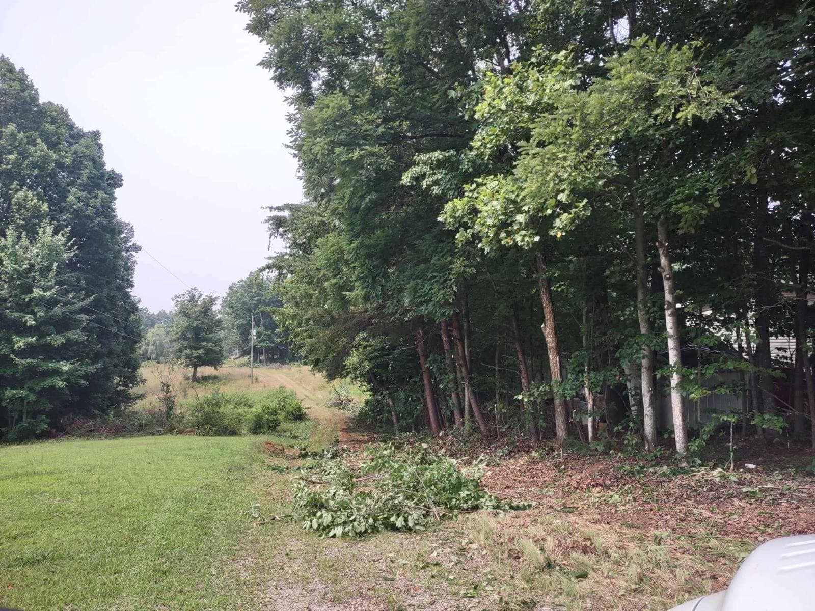 Gallery photos for Transforming Overgrown Paths into Usable Driveways: Image #1