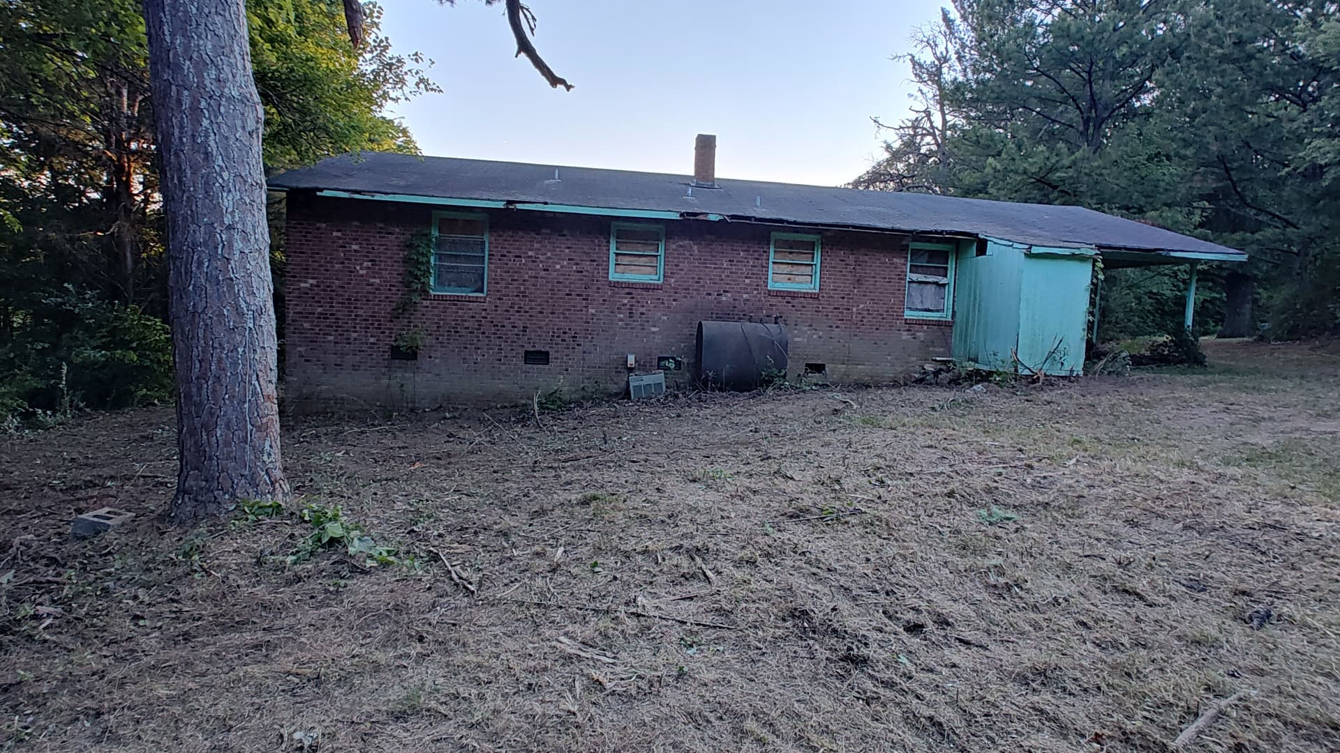 Gallery photos for Overgrown Yard and Heavy Brush Cleared Down to Clean Ground: Image #3