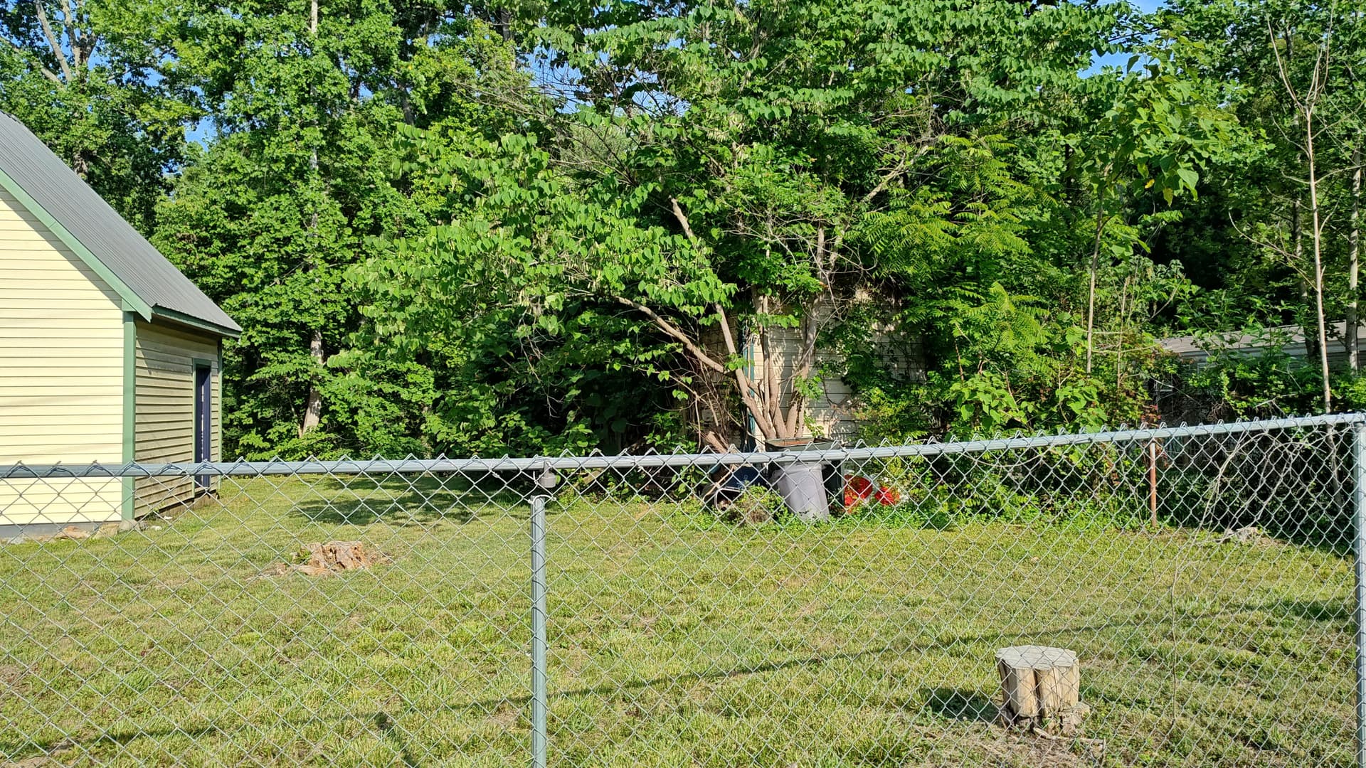 Demo Debris and Overgrowth Cleared to a Clean Slate in Lexington NC image