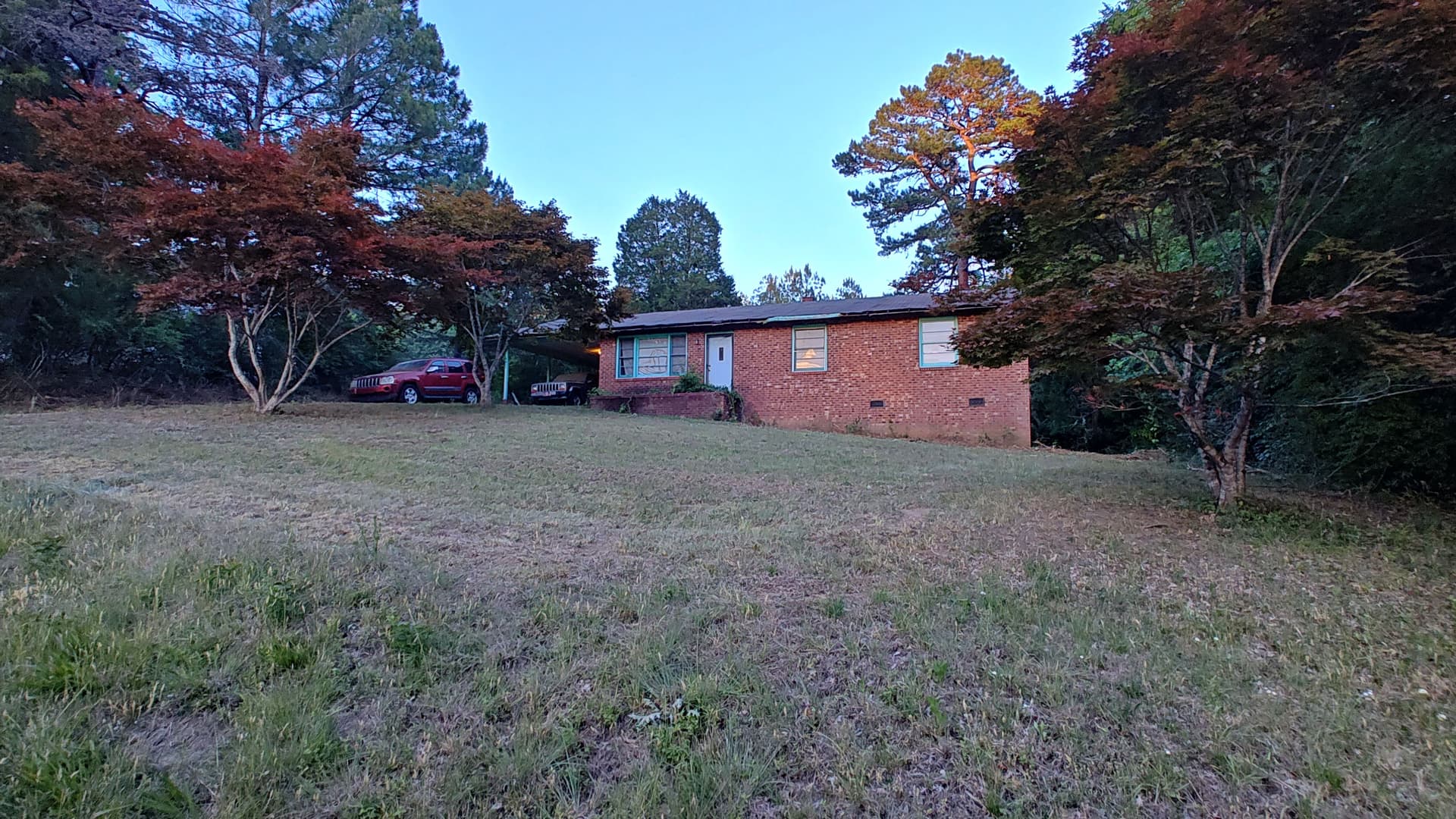 Gallery photos for Overgrown Yard and Heavy Brush Cleared Down to Clean Ground: Image #2