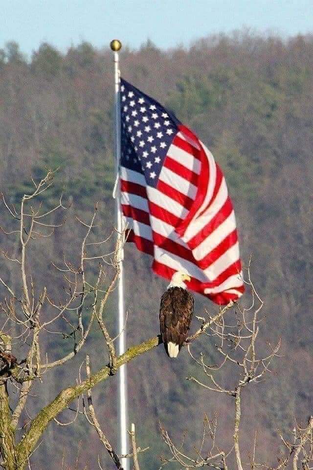 Honoring Those Who Gave Everything This Memorial Day image